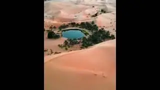 🌴 A desert oasis in the UAE. United Arab Emirates
