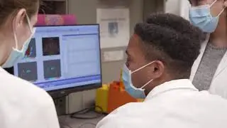 Study: Retraining cells may reverse brain damage after stroke | Ohio State Medical Center