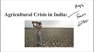 Agriculture Sector in India I Prospects and Problems I Contribution to GDP and Employment