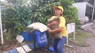NEMU BANTAL LEPEK NENG TONG SAMPAH , AREP TAK GOWO BALEK , JIANNN GAK KOLU TENAN