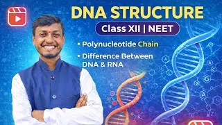 DNA Structure Explained | Polynucleotide Chain | DNA vs RNA | Class 12 Biology | NEET 2026