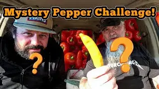 Загадочный перец! Острый или мягкий? 🌶️