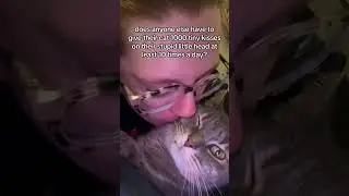 it&rsquo;s forced affection hostage style 😹#love#cat#kiss#cute#companion