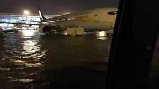Worst rain in 100 years inundates Chennai; airport shut : NewspointTV