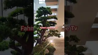 ZEN GARDEN INDOOR | TAMAN JEPANG ARTIFISIAL