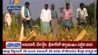 Experts Team From Centre Visits Drought Mandals In Telangana