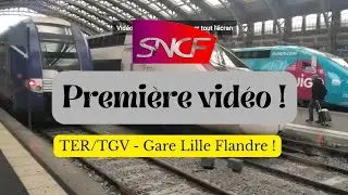TGV/TER Lille flandre (15/01)