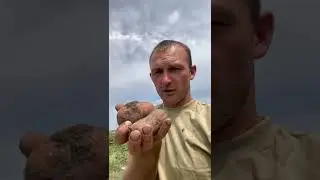 Деревня и ее повседневная жизнь😇 Если вам нравится длинный формат, пишите #деревенский_паренек #рыбалка