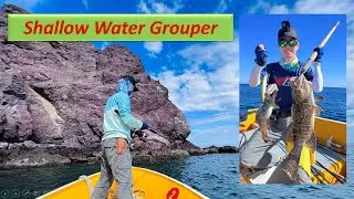 Top 4 Reasons to Try Shallow Water Grouper Fishing