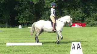 Berwick park dressage