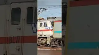 WAP SERIES 🔥💥 #indianrailways#wap1#wap2#wap3#wap4#wap5#wap6#wap7#trending