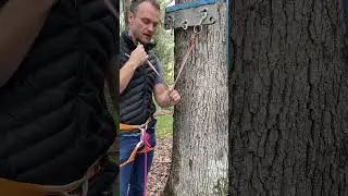 Система анкеров с одной альпийской оттяжкой #скалолазание #мультипич #скалолазание