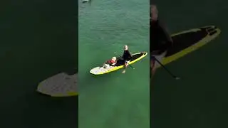 DRONE VIEW OF ROSIE THE SURFING DOG AND STEVE! #surfingdog #dogshorts#surfdog #dogsofinstagram#dogs