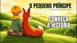 O Pequeno Príncipe - O que tem por trás de cada fábula do livro?
