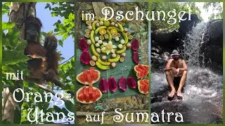 Orang-Utan-Trek & Bukit Lawang auf Sumatra ( Weltreise - Vlog #73 )