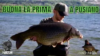 BUONA LA PRIMA A PUSIANO! - Carpfishing in Lago