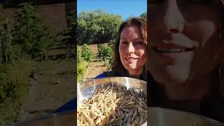 An Epic Harvest!