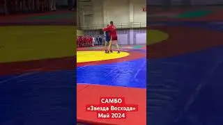 #Sport #time #sambo #самбо #звезда #восхода #2024