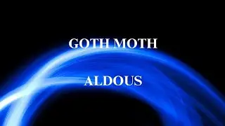GOTH MOTH - ALDOUS (Visualizer)