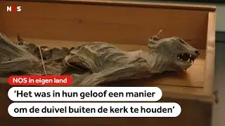 Ingemetselde mummiekat terug in Bredase kerk
