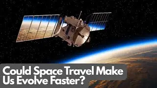 Could Space Travel Make Us Evolve Faster?