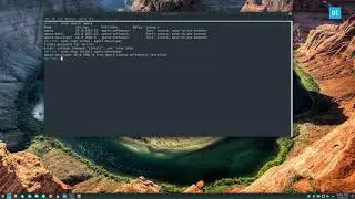 How to install the Opera Developer edition browser on Linux