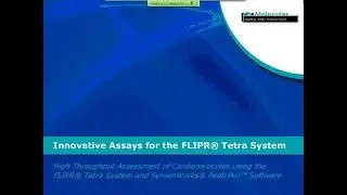 Innovative Assays for the FLIPR Tetra System High Throughput Assessment of Cardiomyocytes