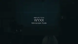[ WeSA Festival 2021 ] WYXX - Microscopic Scale