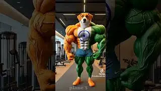 Pakistani vs Indian Dogs | Power, Speed & Loyalty Battles