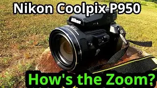 Nikon Coolpix P950 Как вам Zoom?