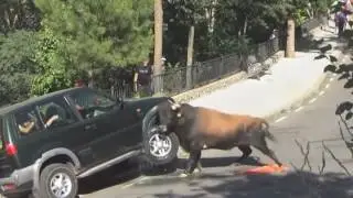 La Potenza Di Un Toro Contro Un'Auto