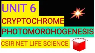 CRYPTOCHROME IICSIRNET IIGATE IIPLANT PHYSIOLOGY II PHOTOMORPHOGENESIS II LIFESCIENCE_LIBRARY