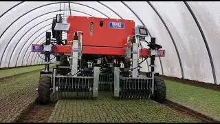 Korstenbreker  - schoffelen tussen de rij - KRAMER Oliver Agro - Colibri- zelfrijdend