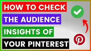 How To Check The Audience Insights Of Your Pinterest Account? [in 2025]