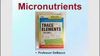 Micronutrients