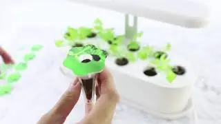 Indoor Smart Garden Accessories Installation demonstration Video