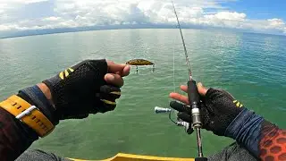 MINNOW BLACK GOLD 5GR (SINGKING) ПОТЕРЯННЫЙ В ХАДЖАРСКОЙ РЫБЕ || СВЕРХЛЕГКОЕ ЗАЛИВАНИЕ 1-3 ФУНТА