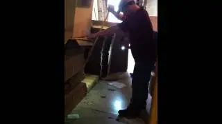 Kelly the exterminator