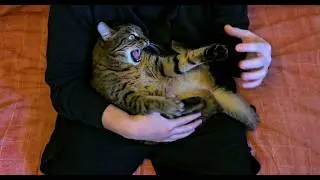 I will eat all your fingers!!