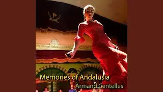 Andalusian Courtyard