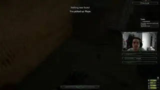 MisCreated Fun: DAM BUGS