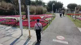 2026台中綠美圖及國際會展中心