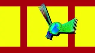 The KutiMangoes - Call of the Bulbul Bird (Official Music Video)