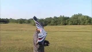 Electrifly MiniSlinger Part 2