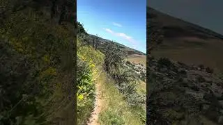 #pnw #nature #pnwadventures #oregon #nature #pnwadventures #thedalles