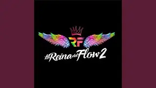 Reflejo (Remix)