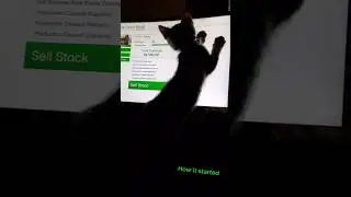 How it's going... #catking #cat #catsofyoutube #howitstartedvshowitsgoing #howitstarted