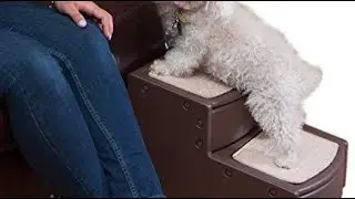 Top 10 Dog Stairs and Steps You Can Buy  June 2023