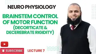 BRAINSTEM CONTROL OF MOTOR FUNCTION | NEURO PHYSIOLOGY PHYSIOLOGY | DR NAUMAN AZIZ | 2025
