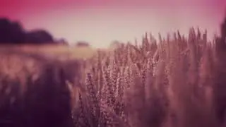 Air for Effect // Almost Fading // Official Music Video